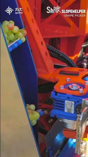 Autonomous Grape Picker | Precision Harvesting with PeK Automotive 🍇🤖