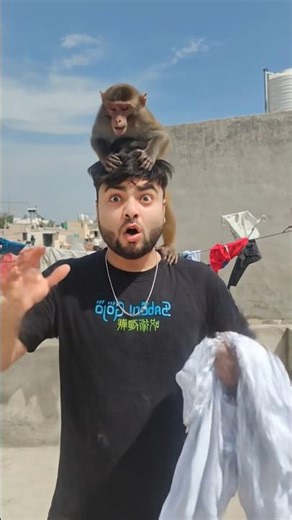 I lose fight with monkey #ai #ai #drummer #drummer #lifeisbutadream #shorts #monkey #aiyatendra