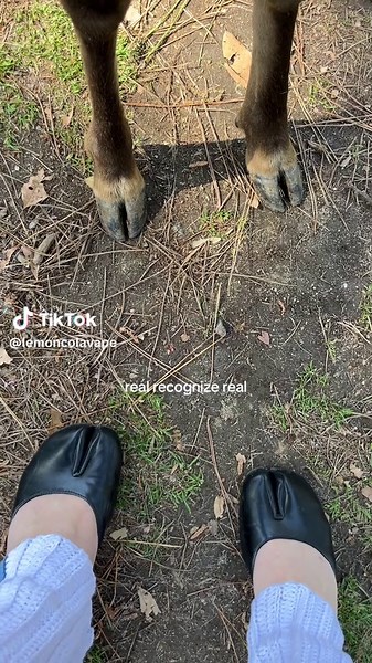 TikTokでc8さんをチェック！