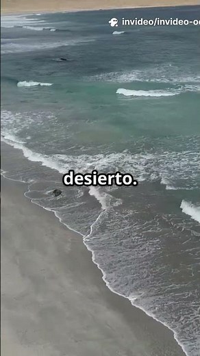 Chile's Most Amazing Beaches 🌊 From Arica to Chiloé