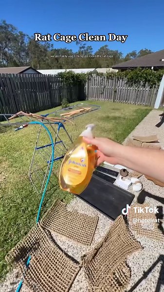 Keeping your rattie's living space clean is essential for their health and happiness. It’s generally recommended to do a deep-clean weekly, with a few mini cleans in between (hammocks, litters etc). We recommend using baby shampoo or an eco-friendly detergent for a gentle yet thorough clean. These products are mild enough to use on your rat's bedding, toys, and cage bars without irritating their sensitive noses and skin. Next, we need to tackle the tricky issue of ammonia and bacteria build-up. 