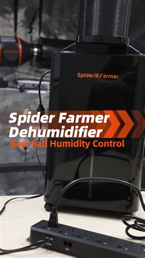 12K views · 82 reactions |  Autumn is here, and with it comes the...