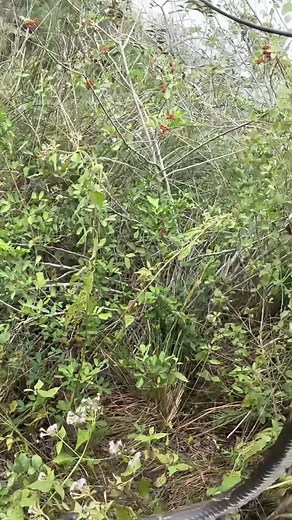 Check out the full video and over 400 other adventures on the Outdoor Boys YouTube Channel. https://www.youtube.com/outdoorboys | Outdoor Boys