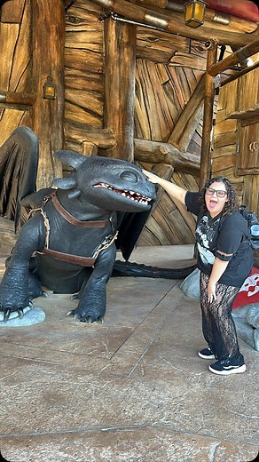 2.9K views · 196 reactions | Toothless meet and greet in How to Train...