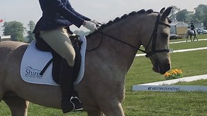 117 reactions · 22 comments | ** Badminton update ** Today’s dressage...