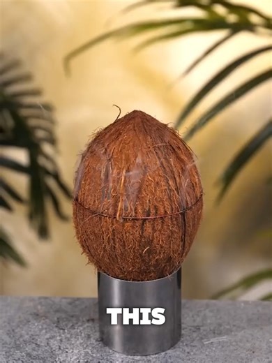 Creative DIY Projects Using Coconut Shells and Wood