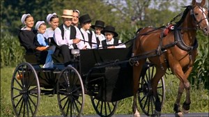 Los Dientes en la Comunidad Amish: Tradición, Creencias y Prácticas - Diente a diente