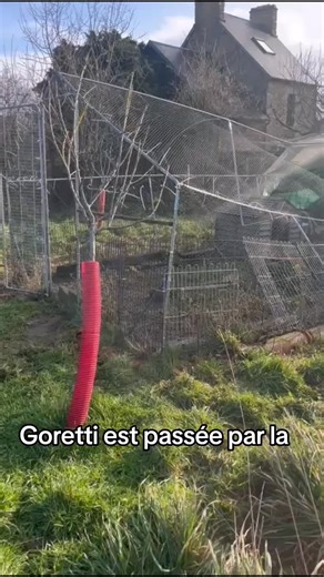 Quelques dégâts mais rien d'irréparable... 💪🙏 Tous nos pensionnaires sont restés en sécurité et à l'abri. ❤️ Nous espérons que pour vous tout va bien aussi 🙏 Pour nous soutenir 👉 larchedeleo.com 👉 Teaming.net > l'arche de leo #tempetegoretti #larchedeleo #france