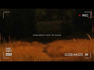 chilling in the glade with your favorite glader || comfort character soft playlist || part 1