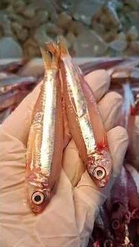 Top 10 Simple and Super Healthy Meals 🐟🥥 #health #cooking #healthy #tips