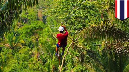 ジップラインのケーブル切れ…地上に落下した観光客が死亡 - トモニュース