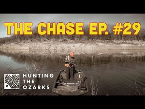 Late Season Deer Hunting On Arkansas Public Land