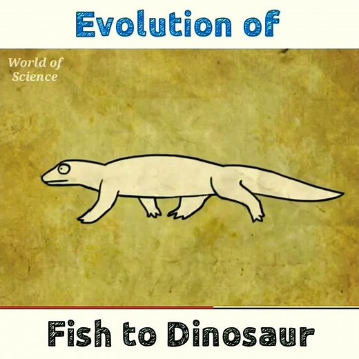 Amazing Facts About Evolution of Fish to Dinosaur _ Animation #short _ World of Science