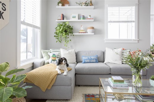 The Best Pet- and Kid-Friendly Sofas You Can Buy Now