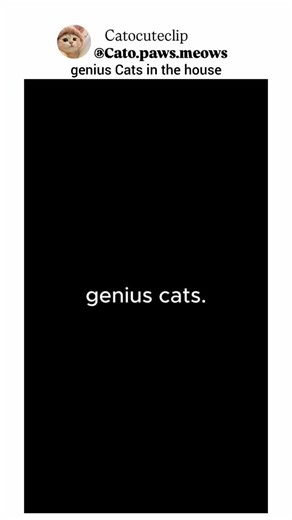 catocuteclip on Instagram: "😭😂"