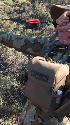 Girl makes EPIC bow shot on a javelina!