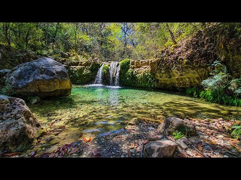 Parque Natural La Estanzuela, Monterrey, N.L. | ¡Así llegas en Transporte Público!
