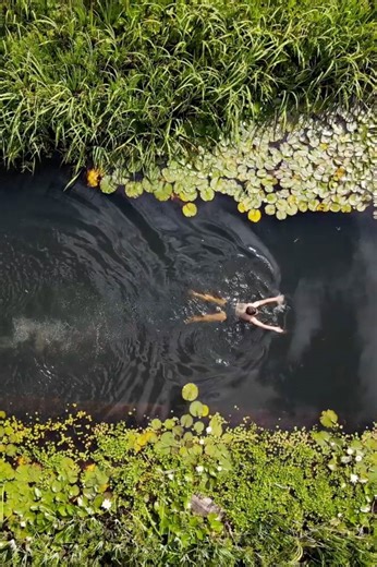 David Butler’s Organic Pools, Eco-Friendly, Chemical-Free Swimming