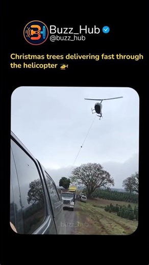 Delivering Christmas trees fastly using the chopper. #chirstmastree #december #christmas #trending