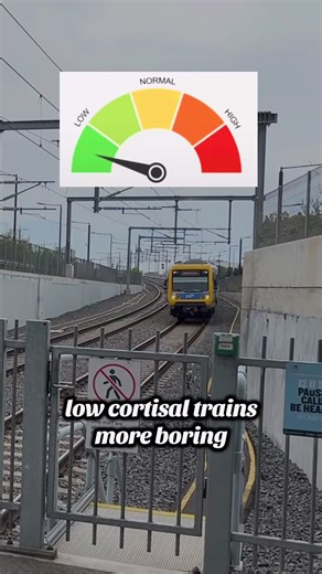 Why Some Trains Feel More Exciting Than Others