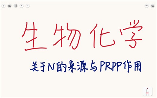 生物化学—关于N的来源与PRPP的作用