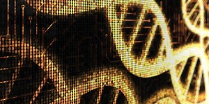 DNA-based Circuits May Be the Future of Medicine, and This Software Program Will Get Us There Faster