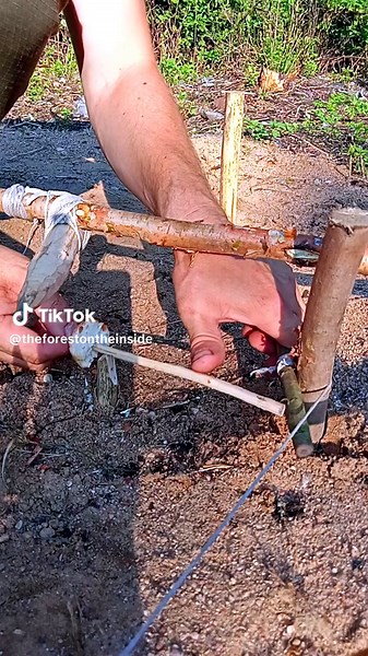 A TEN-MINUTE SURVIVAL TRAP #survival#nature#hunting#