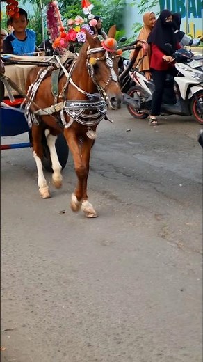 Riding a horse-drawn carriage