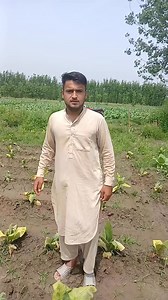 ستاسو قیمتی رائے پکار دہ | Dagai TV