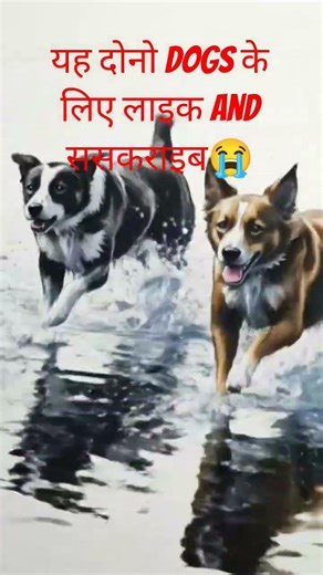 रंगदार dogs