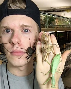 Bugs and Adrian Kozakiewicz 🙄😂🐛 His Instagram: Insecthaus_adi Youtube: InsecthausTV Watch in HD | Insecthaus