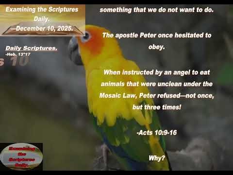 Examining the Scriptures Daily—December 10_ 2025