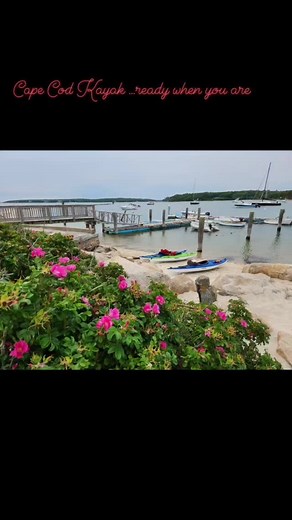 Cape Cod Kayak on Reels