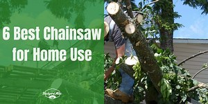 The 6 Best Chainsaw For Home Use In 2025