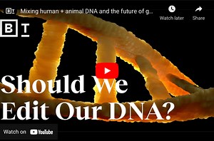 Should we mix human and animal DNA?