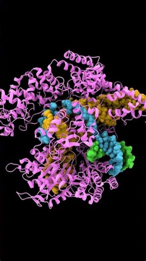 The Genetic Code #biology #podcast #molecularbiology