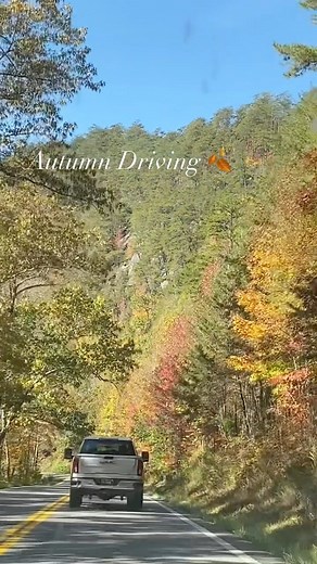 Autumn Driving #autumn #autumndriving | Amm Redding