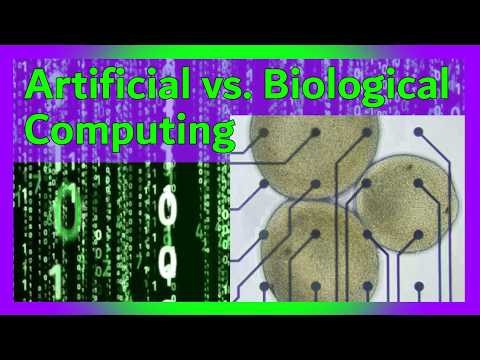 Bio-Computing: Making Computers with Human Neurons (Interview with FinalSpark)