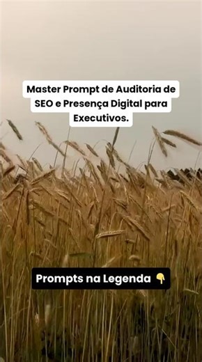 Prompt Auditoria de SEO @GuilhermeeBenuto @hypex.cortes #HypexCortes #SkinDeBaladeiraHX