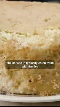 Casu Marzu Rotten Cheese from Sardinia, Italy