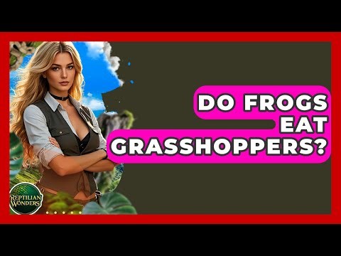 Do Frogs Eat Grasshoppers? - Reptilian Wonders