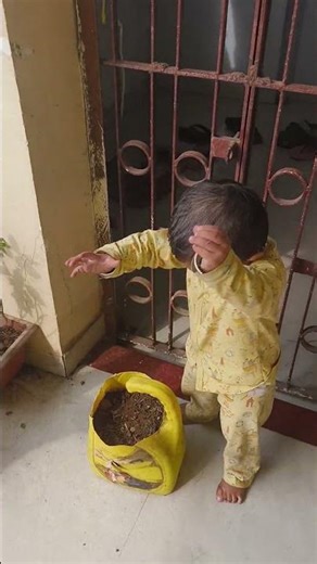 aandhi ban kar aaya hun #ishk jhankar #bollywood #movie #dhurandhar #short🙏🥰🌹