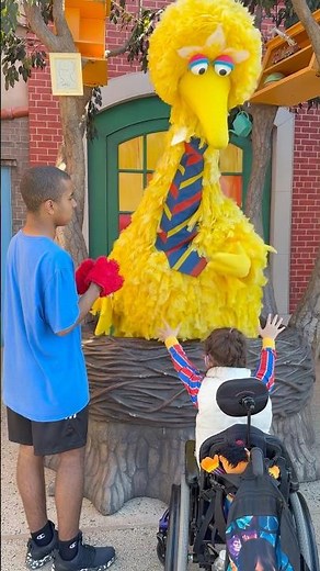 Meeting Big Bird on Sesame Street 2026 #sesamestreet #sesameplace #autismacceptance