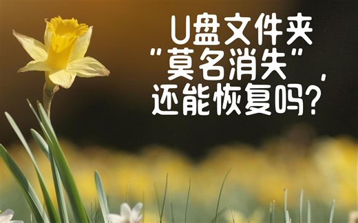 U盘文件夹莫名消失，还能恢复吗？