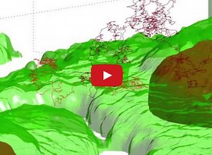 Now in 3D: Video of virus-sized particle trying to enter cell