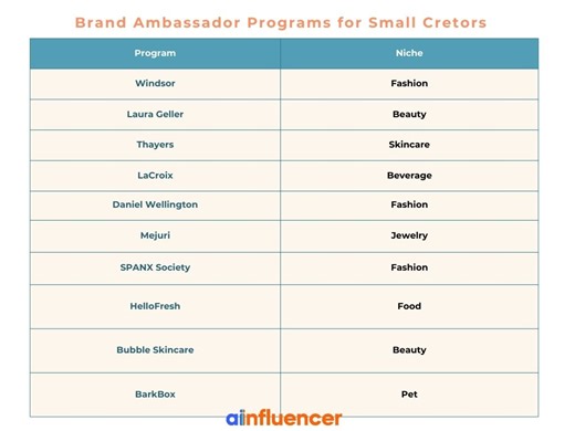 10 Brand Ambassador Programs That Accept Small Influencers