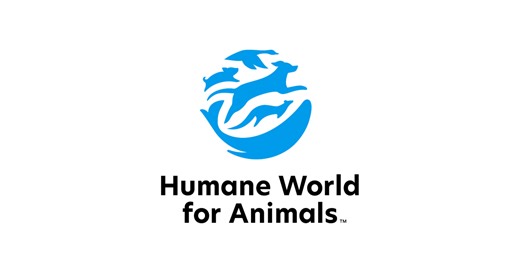 Program Manager - Policy - Animal Welfare - Job in Sydney - Humane World for Animals