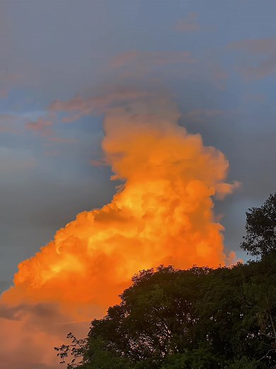 Lagu Lily Alan Walker Versi 2019: Kenangan Masa Lalu 5 Tahun yang Lalu