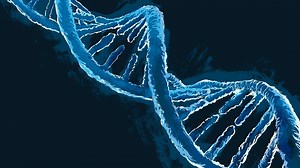 What is DNA editing and how could fixing 'broken genes' make us live longer?