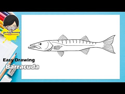 Easy Drawing Barracuda